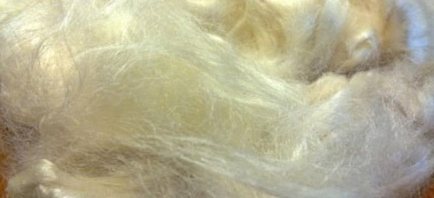 What is merino wool?